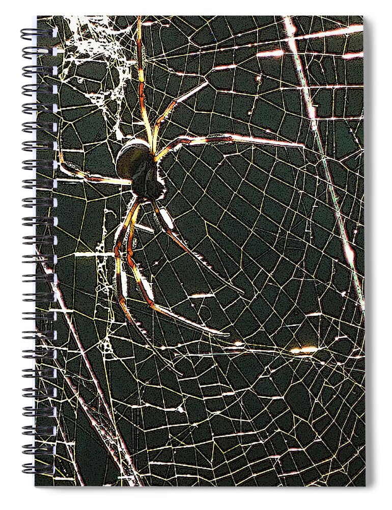 Banana Spiral Notebook featuring the photograph the Spider's Web by George Pedro