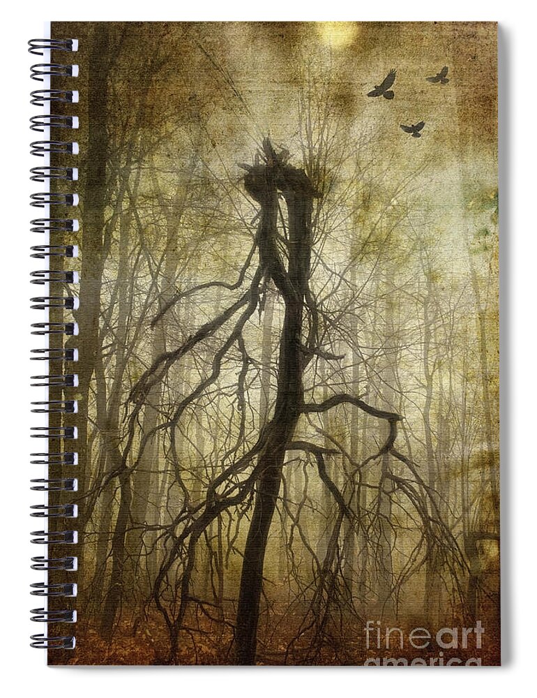 (bird Or Birds) Spiral Notebook featuring the photograph The Spookiest Tree in the Forest by Debra Fedchin