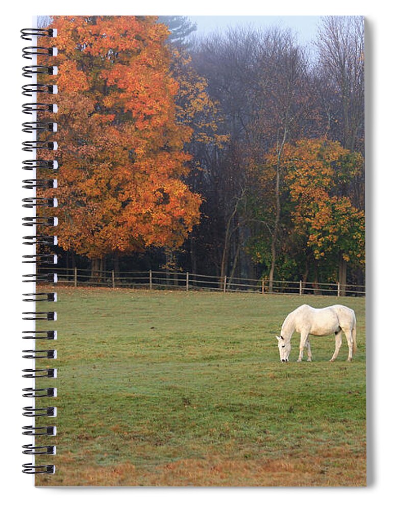 Horse Spiral Notebook featuring the photograph The Standout by Jayne Carney