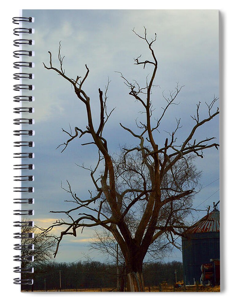 Tree Spiral Notebook featuring the photograph The Stark Tree by Alys Caviness-Gober