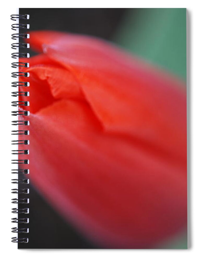 Tulip Spiral Notebook featuring the photograph The Tip of the Tulip by Kathy Paynter