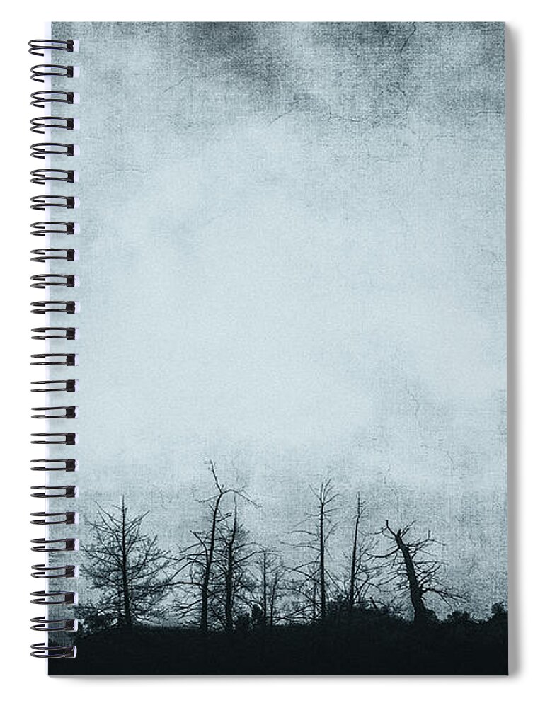 Grunge Spiral Notebook featuring the photograph The Trees On The Ridge by Theresa Tahara