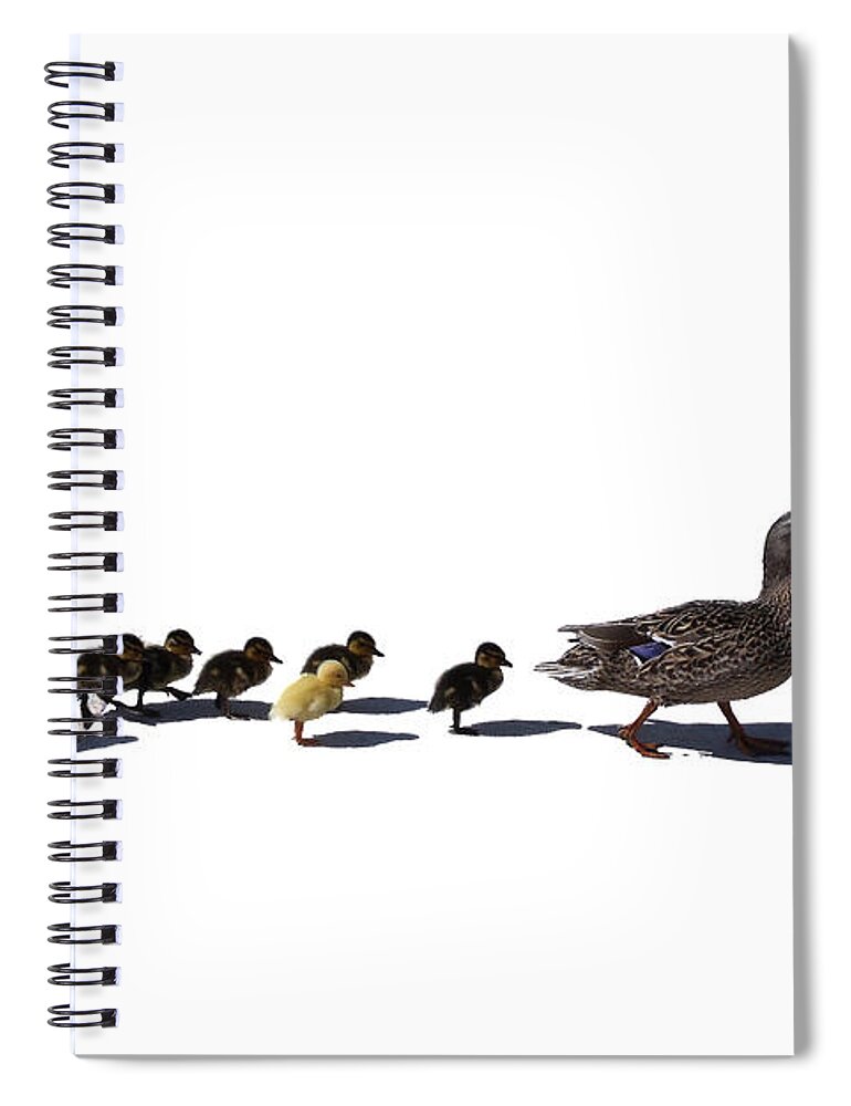Animal Spiral Notebook featuring the photograph The Ugly Duckling by Lars Lentz