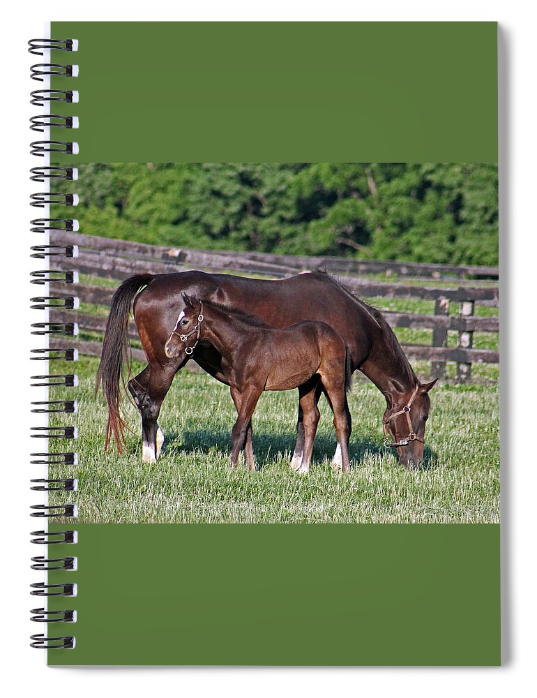 Horse Spiral Notebook featuring the photograph The union of one by Lily K