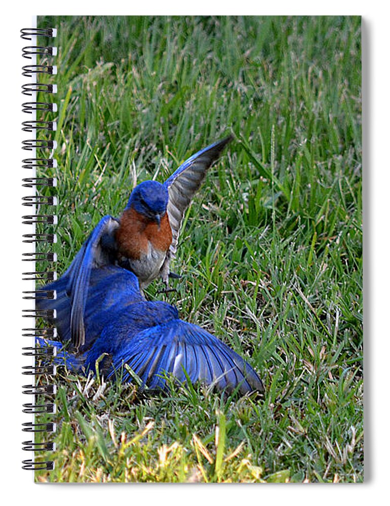 Nature Spiral Notebook featuring the photograph The Victor by Judy Wanamaker