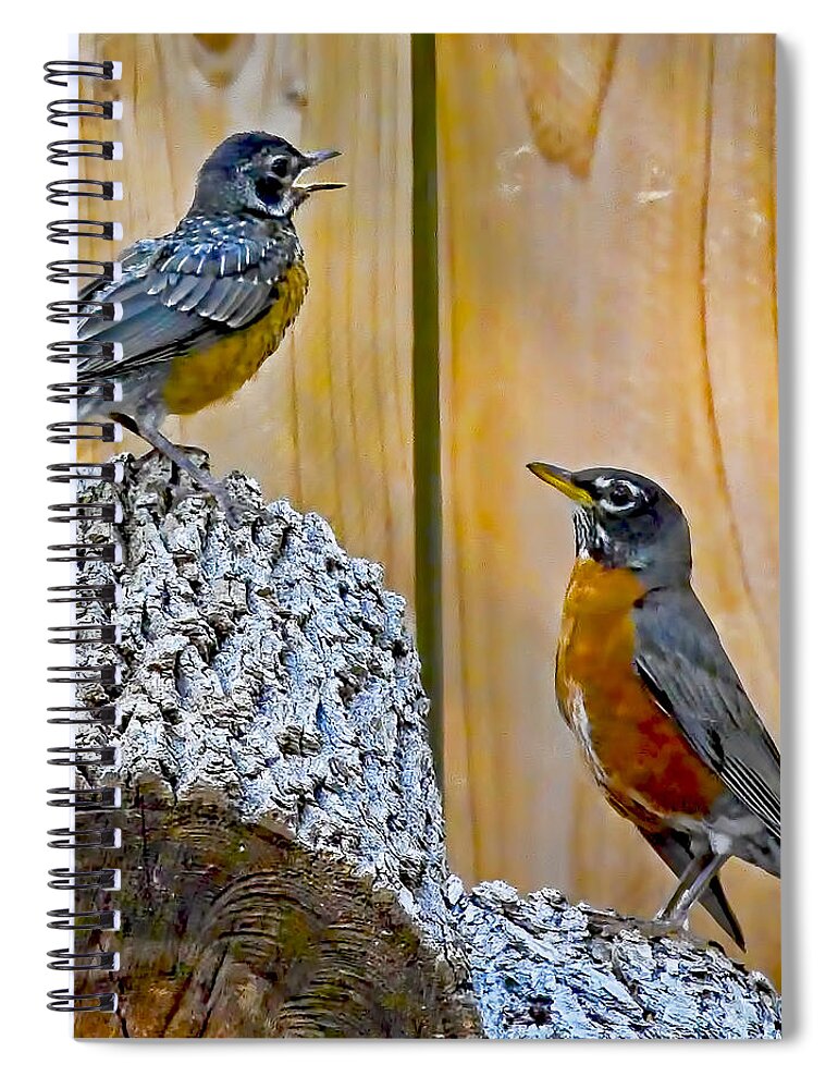 Voice Spiral Notebook featuring the photograph The Voice Lesson by Gary Holmes