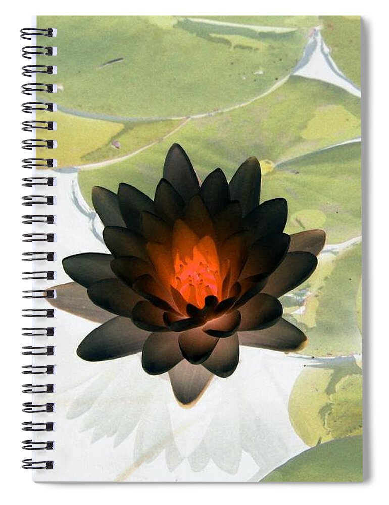 Water Lilies Spiral Notebook featuring the photograph The Water Lilies Collection - PhotoPower 1034 by Pamela Critchlow