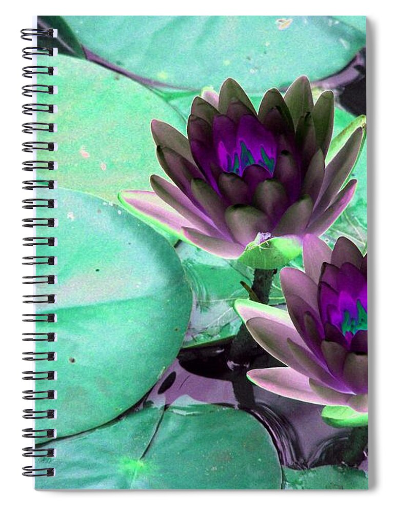 Water Lilies Spiral Notebook featuring the photograph The Water Lilies Collection - PhotoPower 1118 by Pamela Critchlow