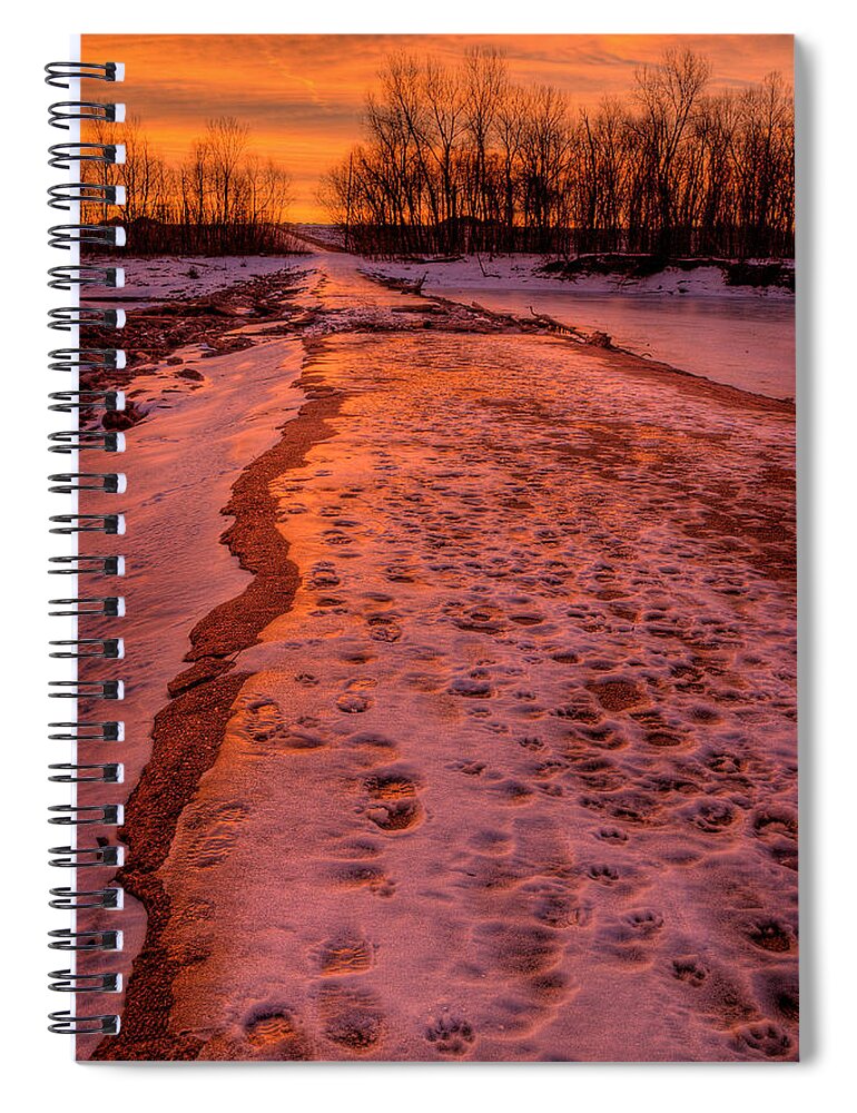 2011 Spiral Notebook featuring the photograph The Way Home by Robert Charity