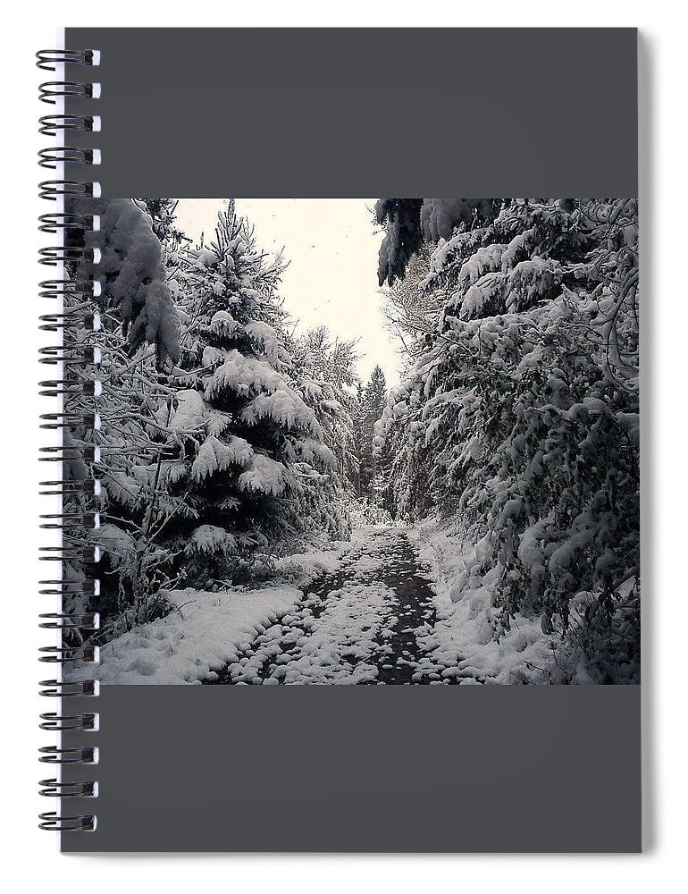 Landscape Spiral Notebook featuring the photograph The way in snow by Felicia Tica