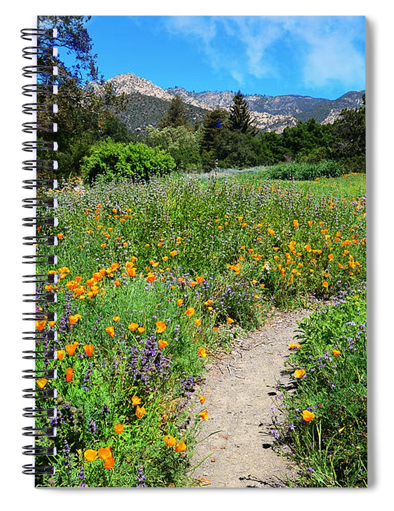 Spring Spiral Notebook featuring the photograph The Wonders of Spring by Lynn Bauer