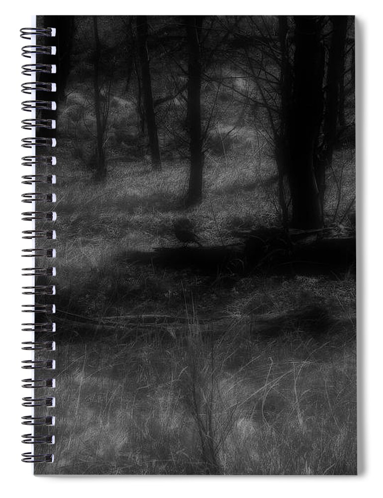 Colorado Spiral Notebook featuring the photograph The Woods Are Lovely Dark and Deep by RC DeWinter