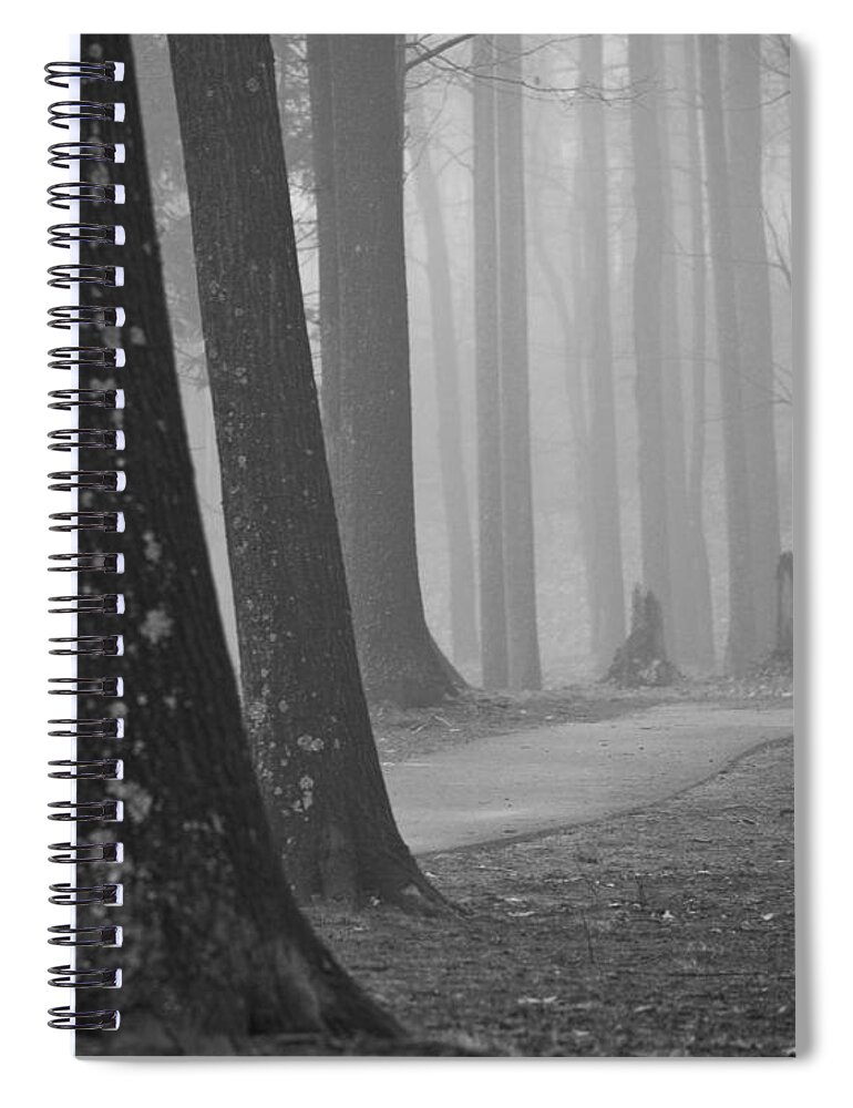 Park Spiral Notebook featuring the mixed media The Woods by Trish Tritz