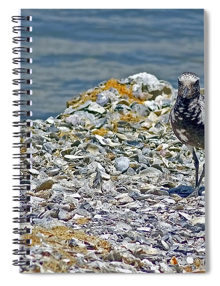 The World Is My Oyster Spiral Notebook featuring the photograph The World Is My Oyster by Gary Holmes