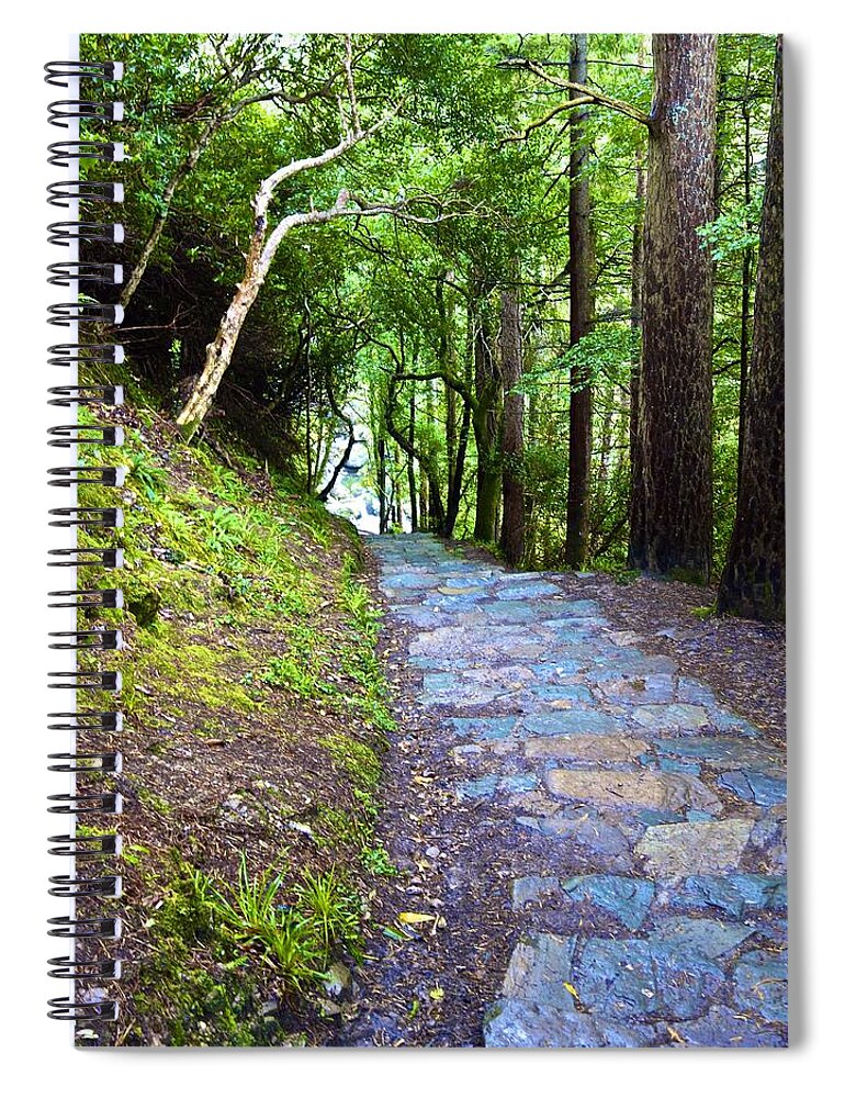 Path Spiral Notebook featuring the photograph There and Back Again by Norma Brock