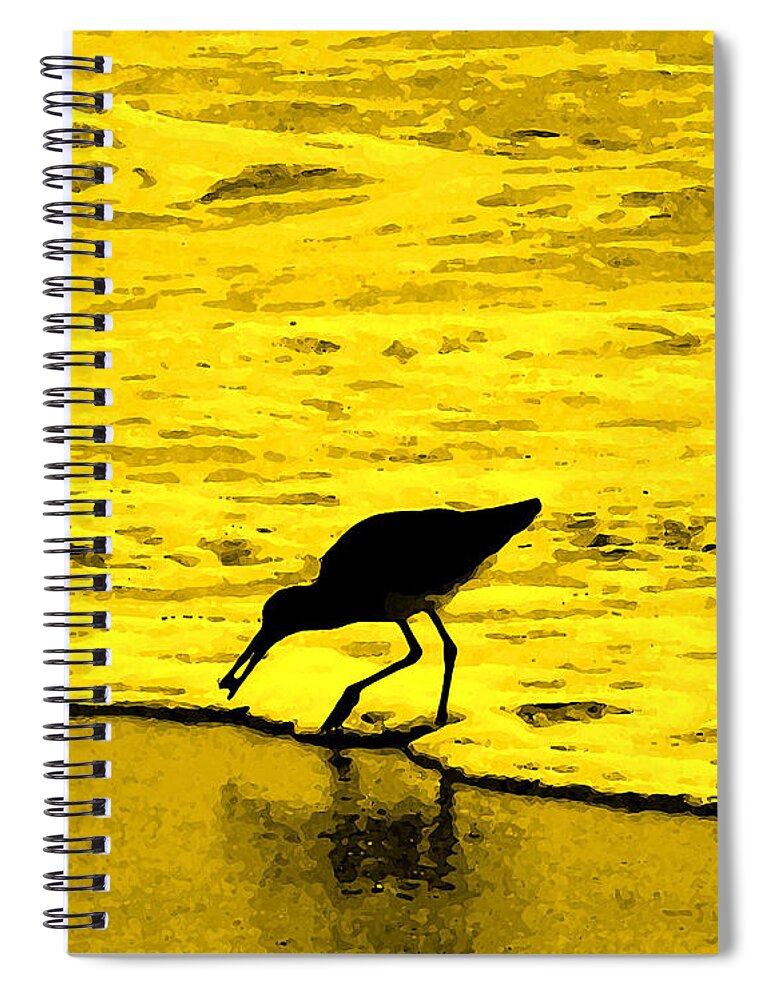 Florida Spiral Notebook featuring the photograph This Beach Belongs To Me by Ian MacDonald