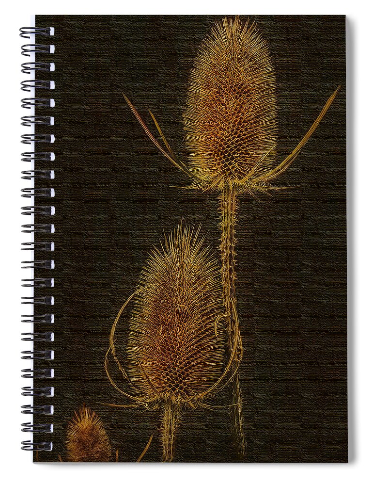 Thisle Spiral Notebook featuring the photograph Thistles by Hanny Heim