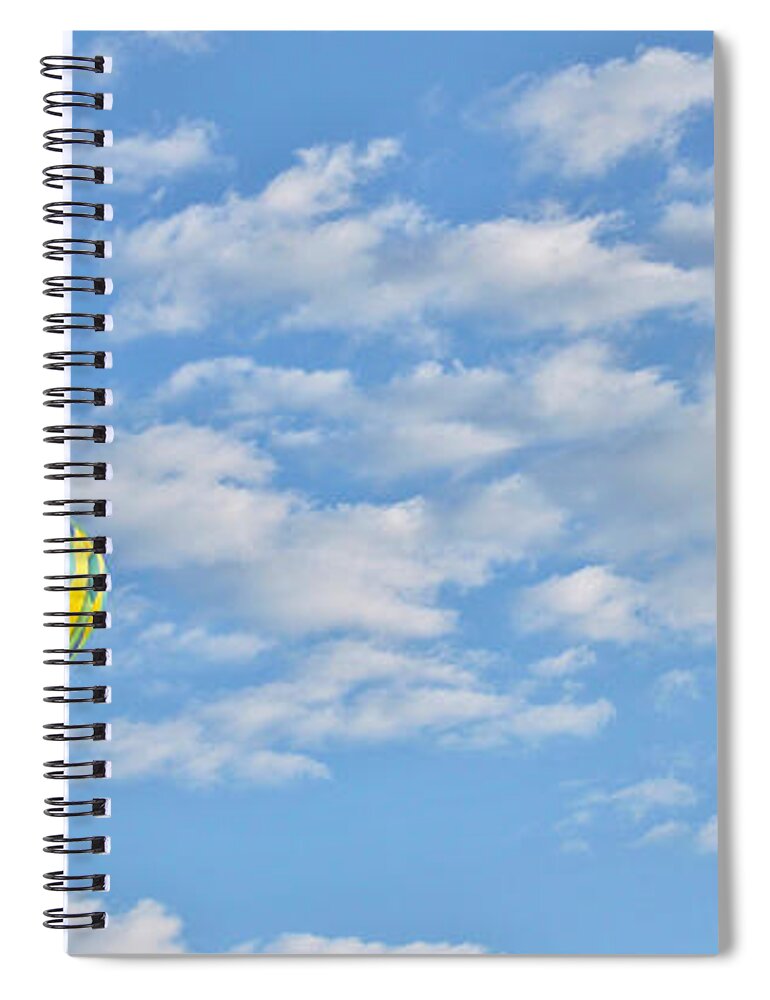 Leisure Spiral Notebook featuring the photograph Three Beautiful Balloons in Cortez by Janice Pariza