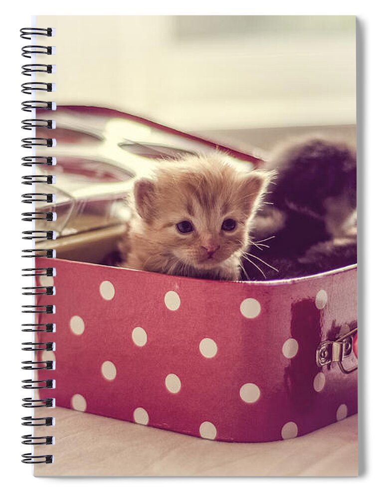 Two Spiral Notebook featuring the photograph Three for Tea by Spikey Mouse Photography