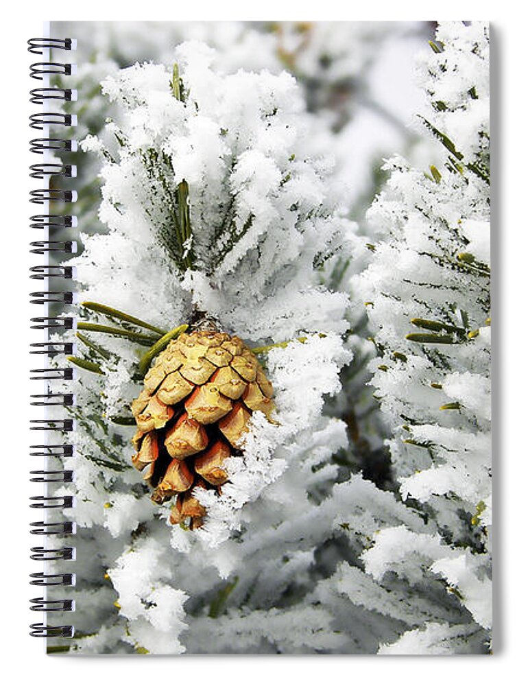Three Spiral Notebook featuring the photograph Three Frosty Cones by Marilyn Hunt