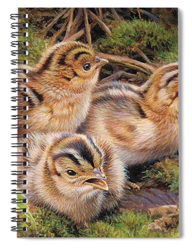Animal Spiral Notebook featuring the photograph Three Pheasant Chicks In Grass by Ikon Ikon Images