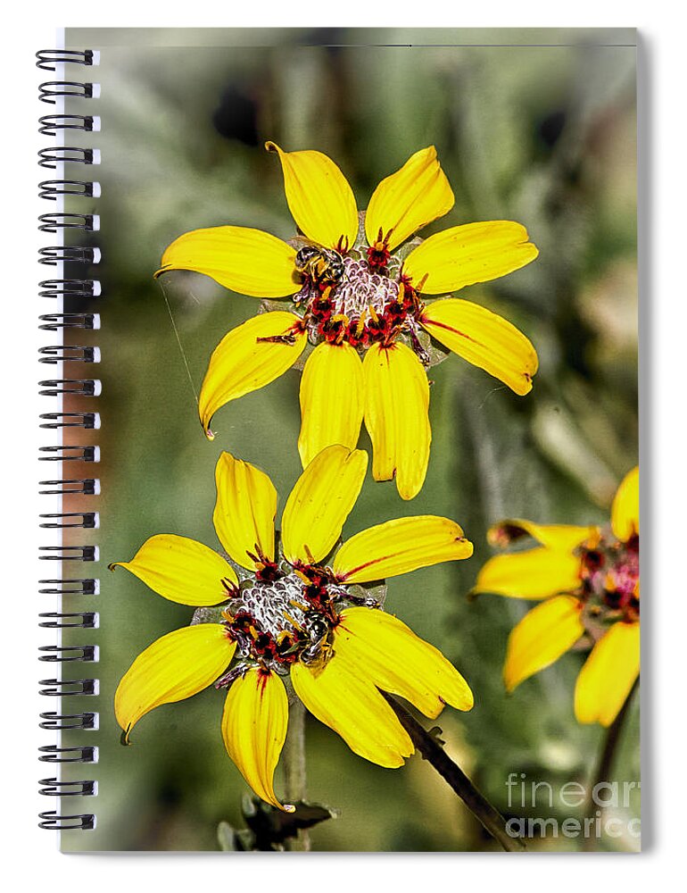 Wildflowers Spiral Notebook featuring the digital art Three Sister Wildflowers by Georgianne Giese