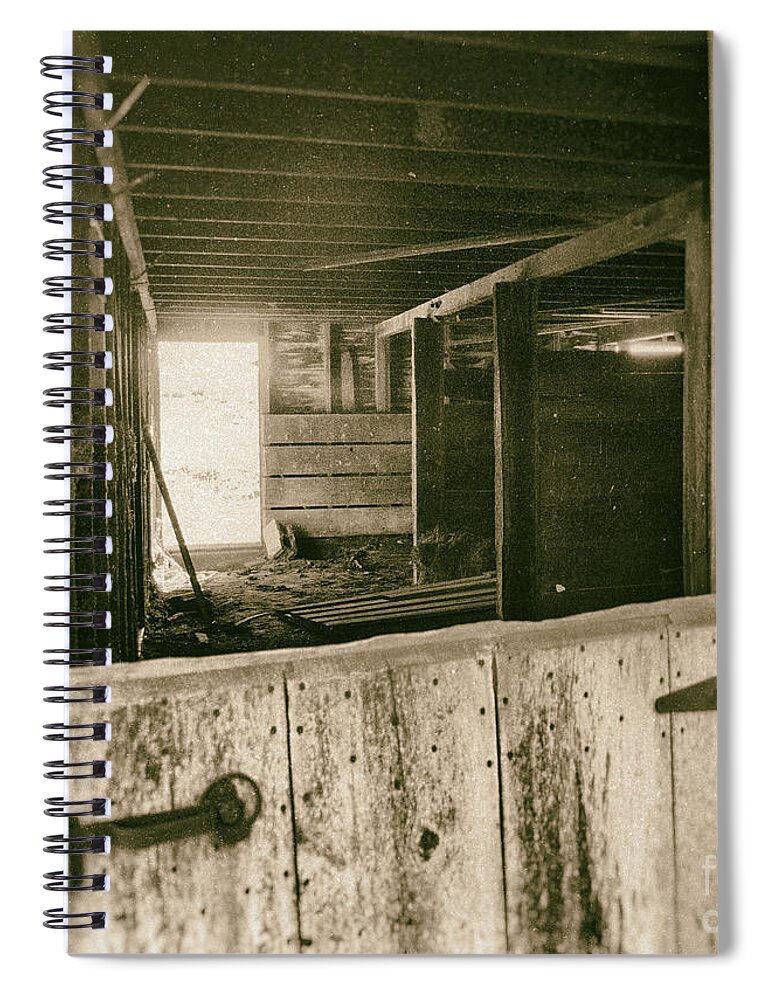Barn Spiral Notebook featuring the photograph Through The Barn Door by Pam Holdsworth
