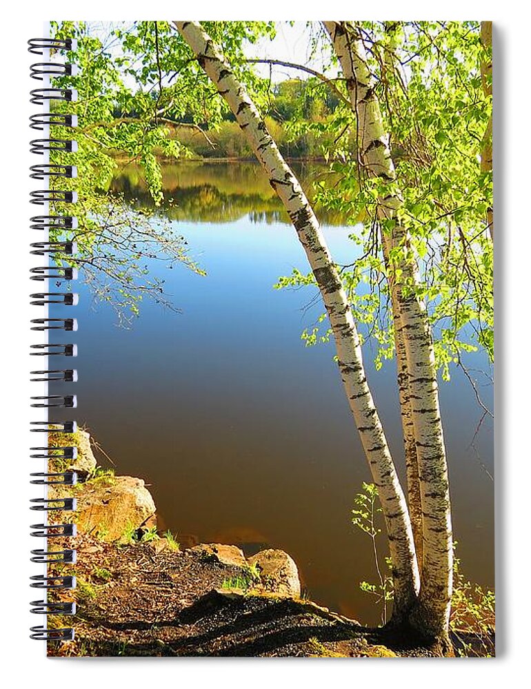 Calm Water Spiral Notebook featuring the photograph Through the Birch by MTBobbins Photography