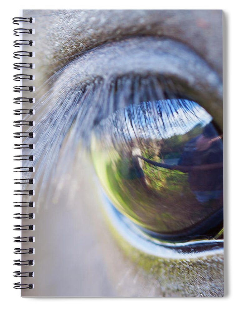 Horse Spiral Notebook featuring the photograph Through The Eye Of A Horse by Clive Rees Photography