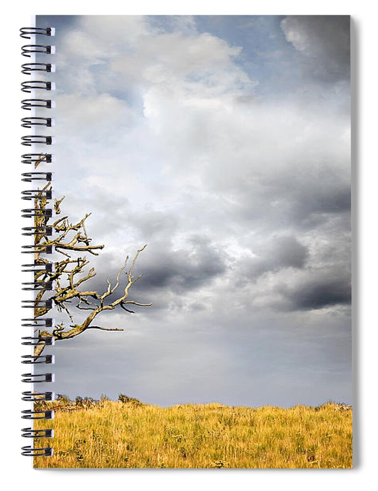 Bare Spiral Notebook featuring the photograph Through The Storms by Lana Trussell