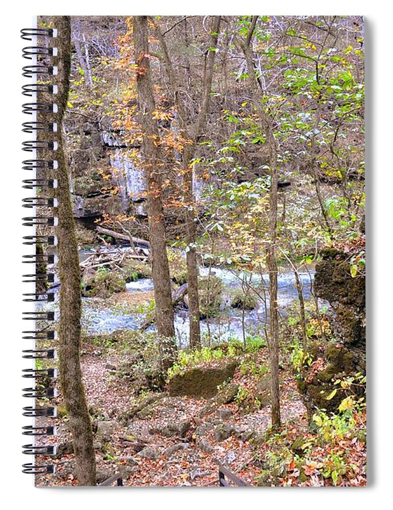 Landscape Spiral Notebook featuring the photograph Through The Trees At Greer Spring by Marty Koch
