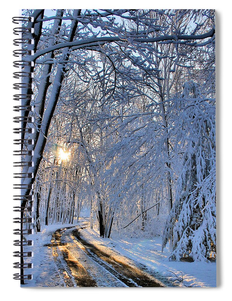 Sun Spiral Notebook featuring the photograph Through the Woods by Kristin Elmquist