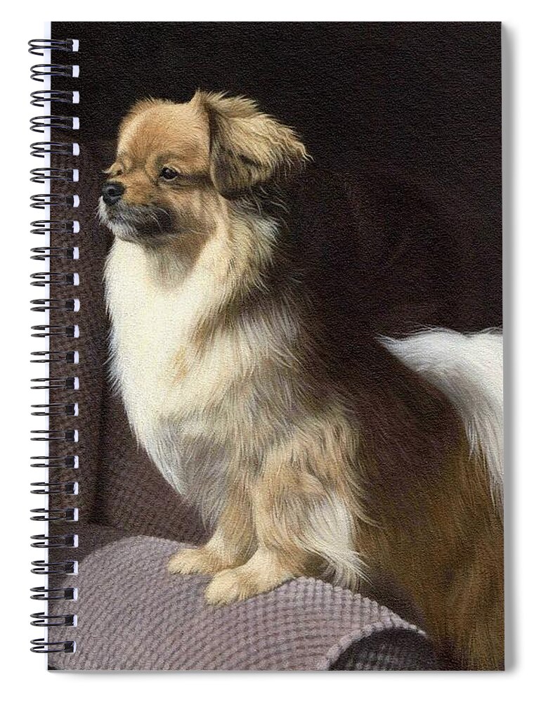 Dog Spiral Notebook featuring the painting Tibetan Spaniel Painting by Rachel Stribbling