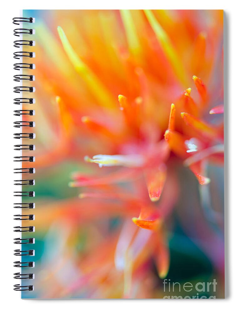 Abstract Spiral Notebook featuring the photograph Tie-Dye by Tamara Becker