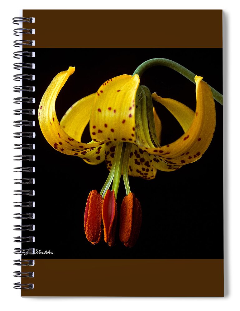 Beauty In Nature Spiral Notebook featuring the photograph Tiger Lily by Jeff Goulden