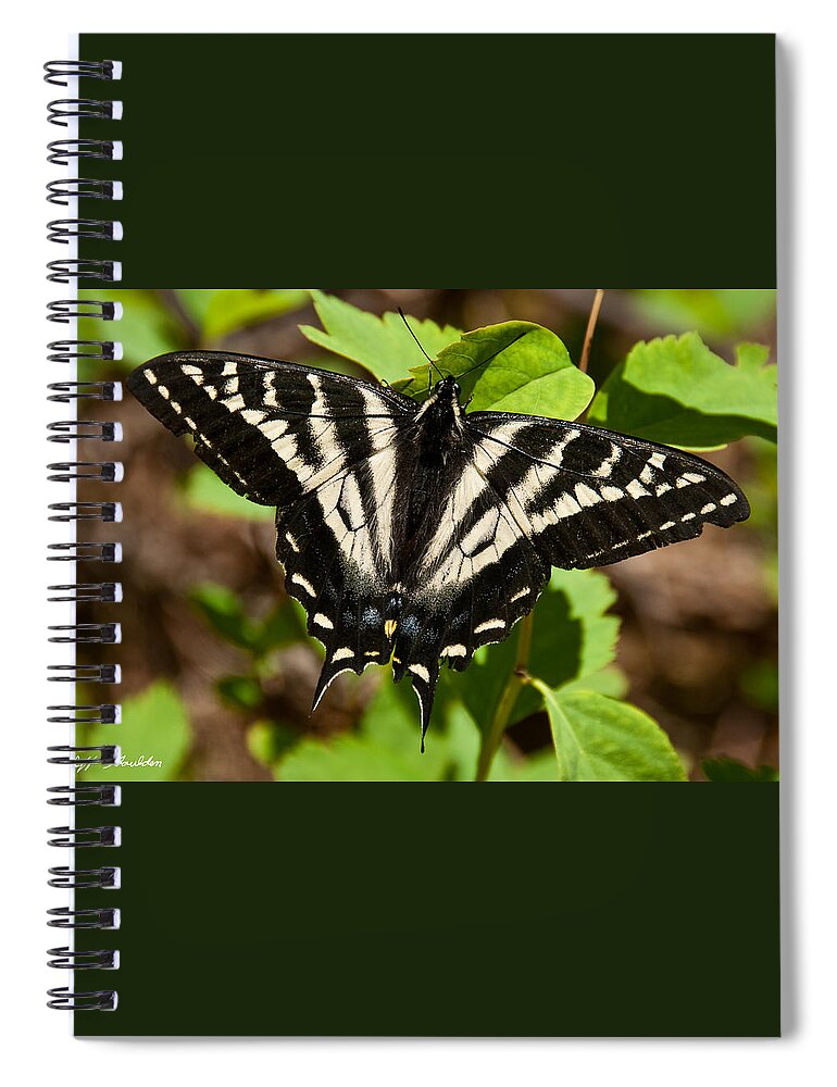 Animal Spiral Notebook featuring the photograph Tiger Swallowtail Butterfly by Jeff Goulden