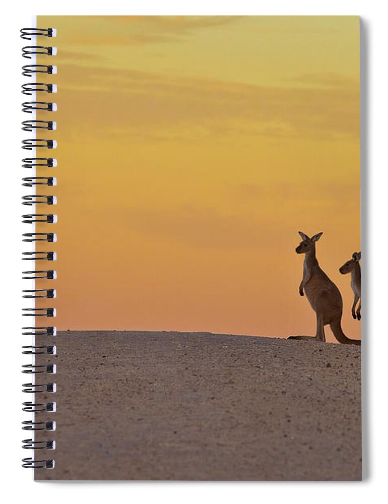 Animal Themes Spiral Notebook featuring the photograph Time To Be Out On Dark by Jason Whittle Xs Light