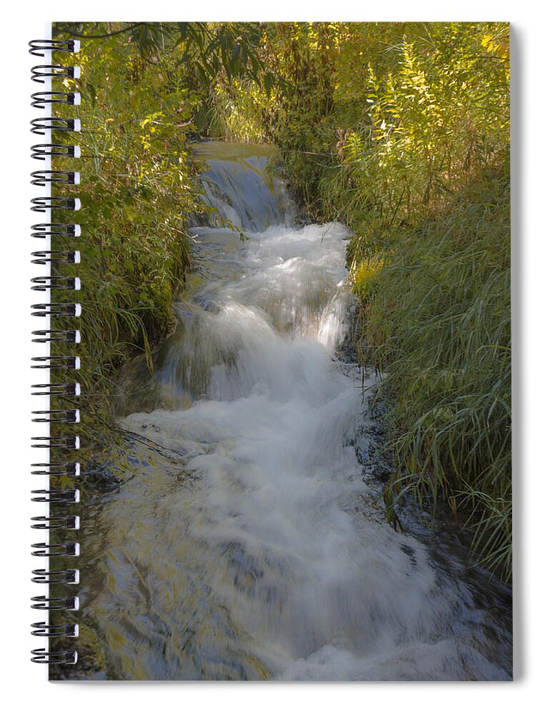 Dakota Spiral Notebook featuring the photograph Timon Treasure by Greni Graph