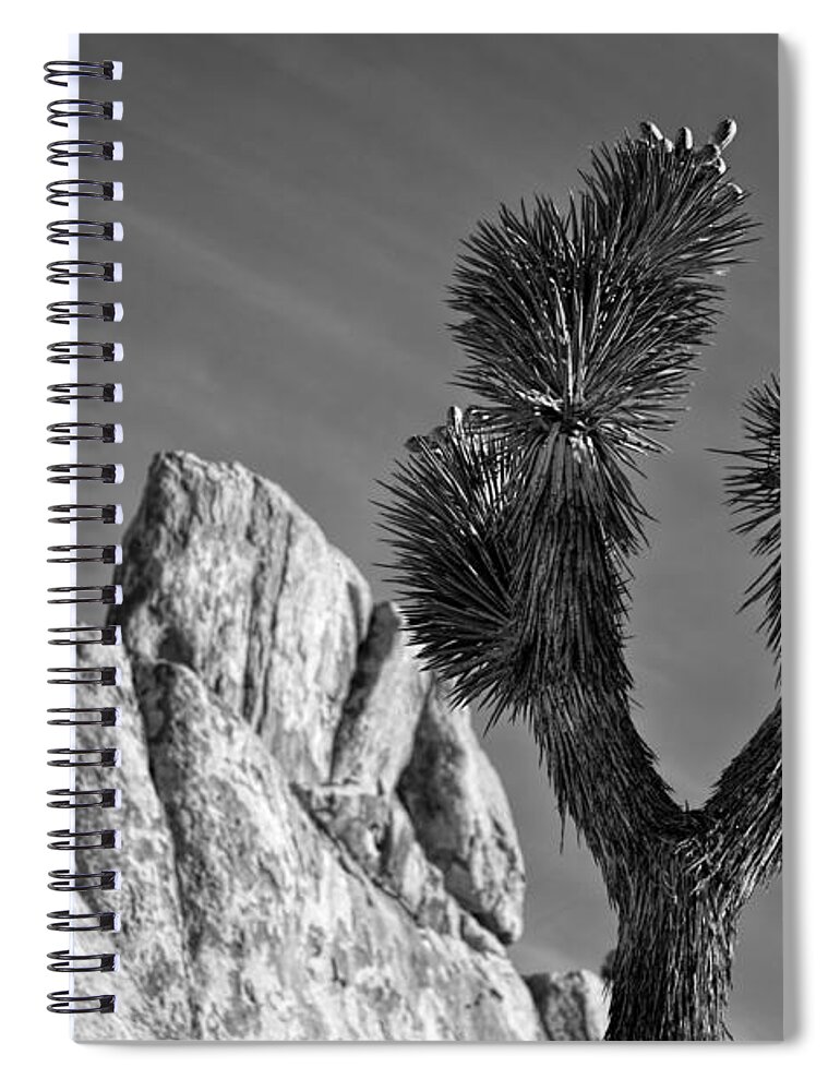 Black & White Spiral Notebook featuring the photograph Tips by Peter Tellone