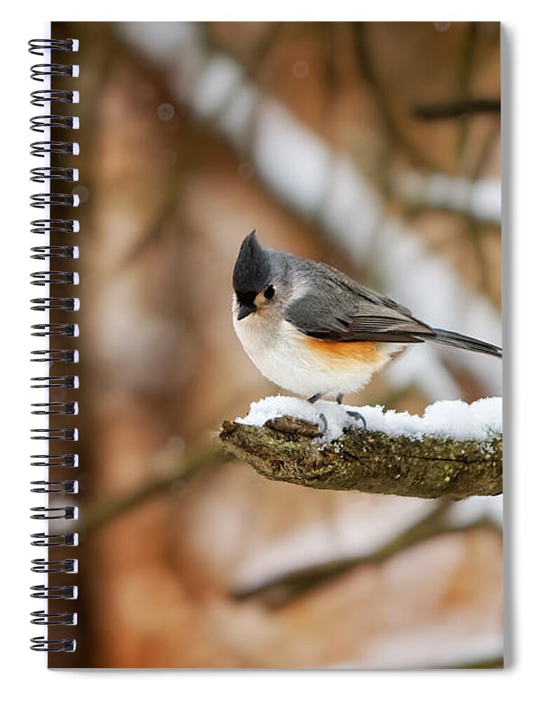 Michigan Spiral Notebook featuring the photograph Titmouse in Winter by Lars Lentz
