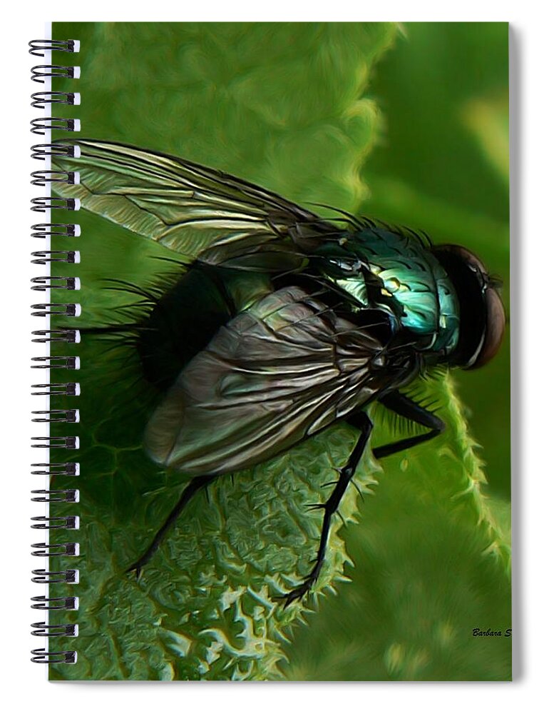 To Be The Fly On The Salad Greens Spiral Notebook featuring the photograph To be the Fly on the Salad Greens by Barbara St Jean