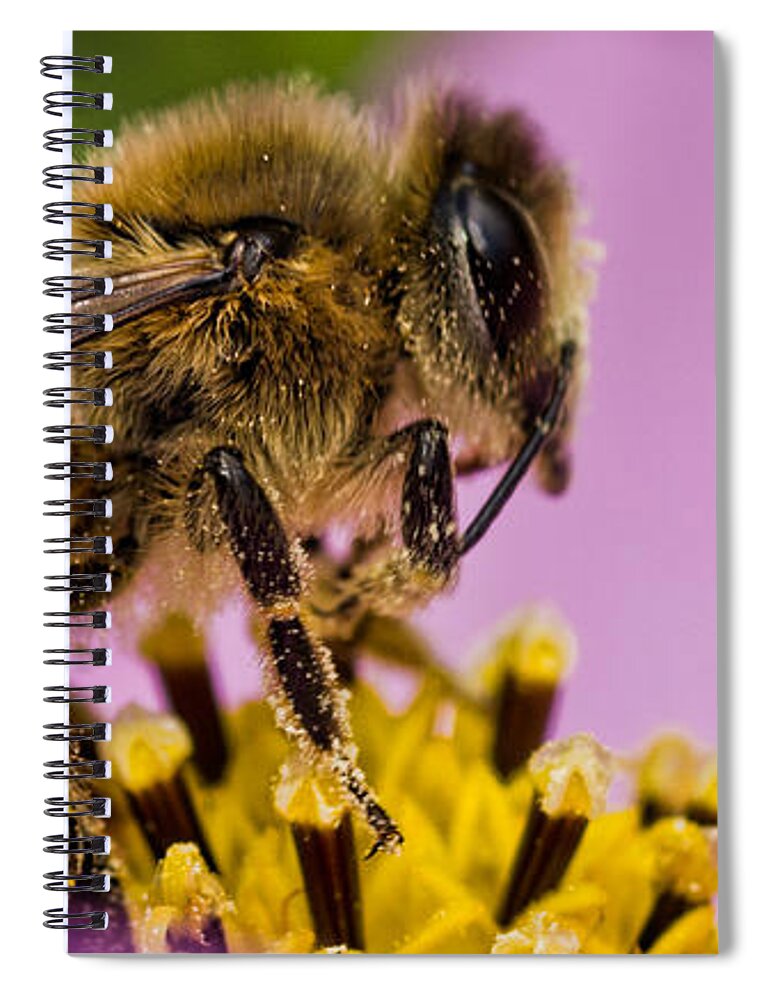 Bee Spiral Notebook featuring the photograph To Bee by Don Schwartz