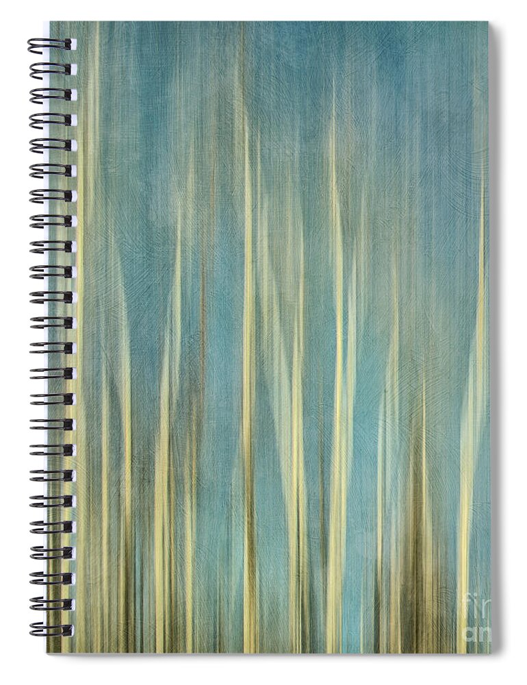 Trees Spiral Notebook featuring the photograph Touching The Sky by Priska Wettstein