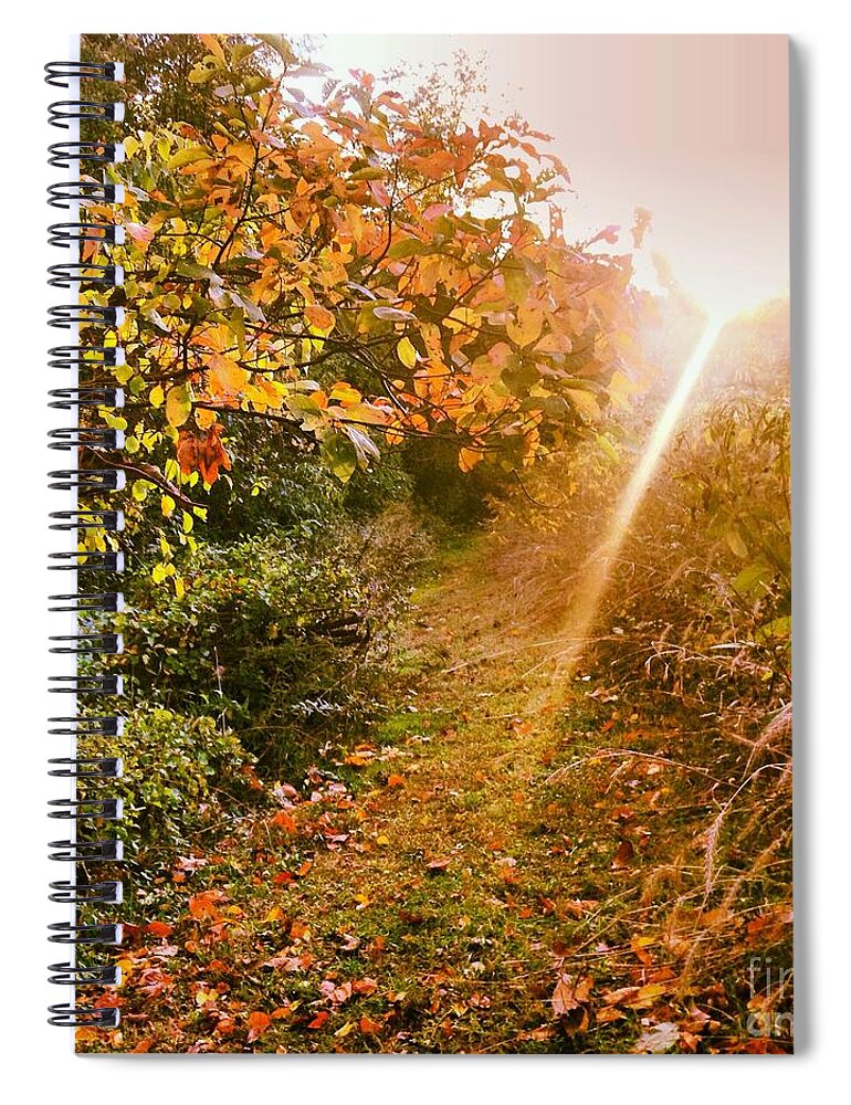 Light Spiral Notebook featuring the photograph Fall Trail by Angela Rath