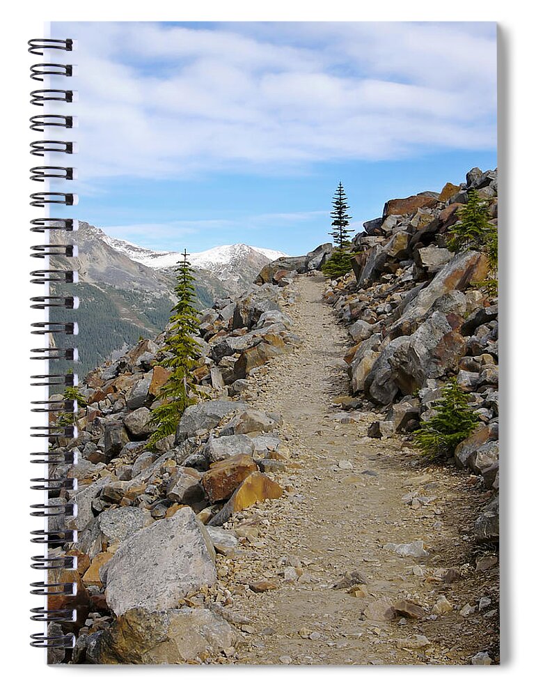 Nature Spiral Notebook featuring the photograph Trail to the Meadows by Rhonda McDougall