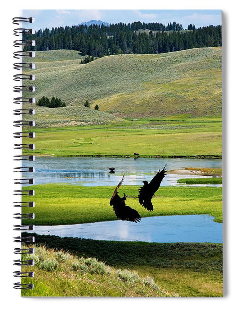 Eagles Spiral Notebook featuring the photograph Training Ground Eagles by Randall Branham