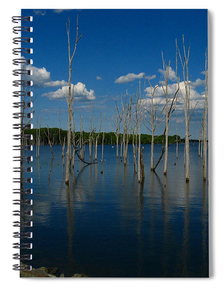 Tranquility Spiral Notebook featuring the photograph Tranquility II by Raymond Salani III
