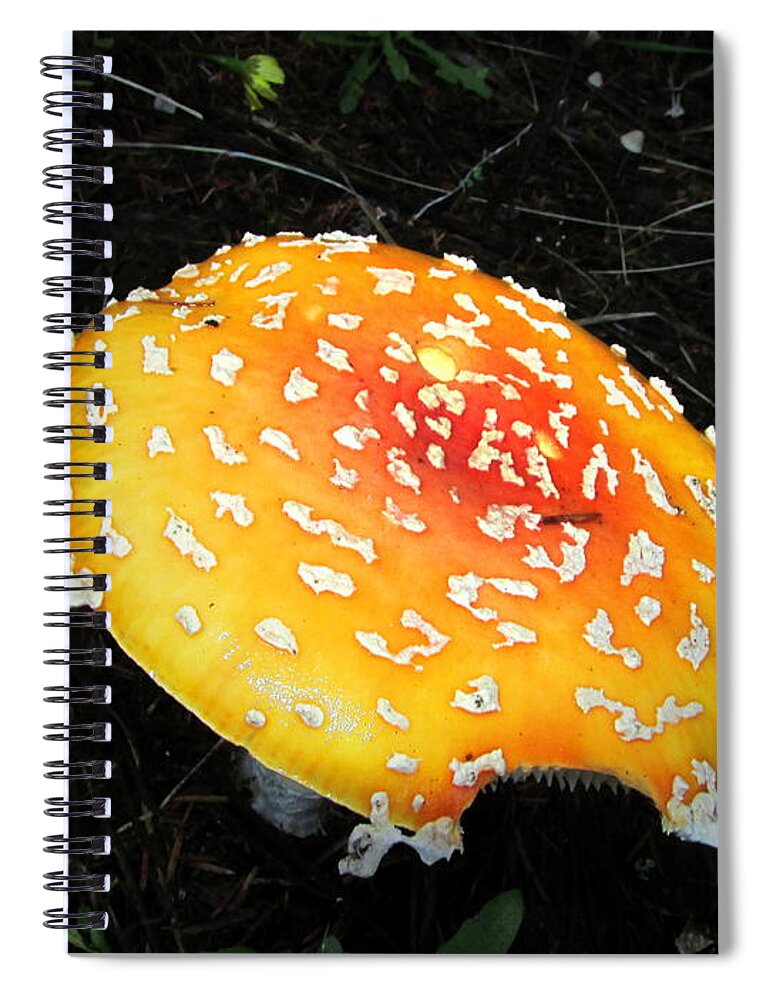 Treasures-of-the-forest Spiral Notebook featuring the photograph Treasures of the Forest Two by Joyce Dickens