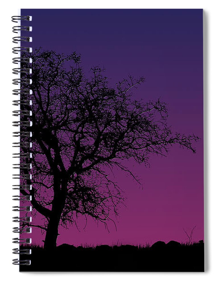 Tree Spiral Notebook featuring the photograph Tree And Coyote by Robert Woodward