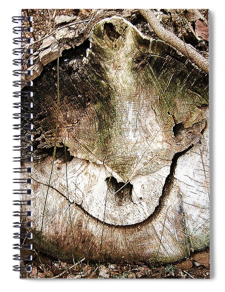 Tree Face; Treeface; Face In A Tree; Nature; Outdoor; Outdoors; Bark; Log; Wood; Forest; Tree; Faces In Nature; Face; Smiling; Grinning; Smile; Mouth; Eyes; Nose; Treelog; Leaves; Leaf; Branch; Branches; Funny; Scary; Eeire; Weird; Fright; Frightening; Alone; Hike; Hiking; Decay; Decaying; Halloween; Earth; Earthy; Woodsy; Green; Brown; Menega; Sabidussi Spiral Notebook featuring the photograph Tree Face by Menega Sabidussi